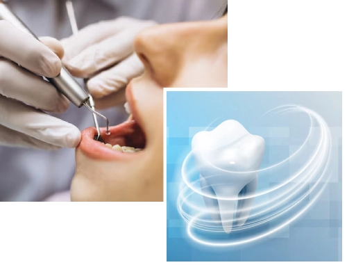 Dental Care Department