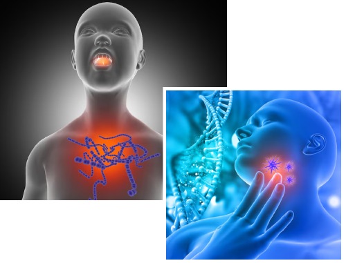 Endocrinology Department